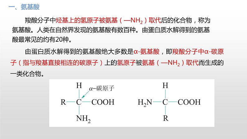 主题六 第二节 生命活动的物质基础——蛋白质（课件）【中职专用】高中化学（高教版2021加工制造类）第6页