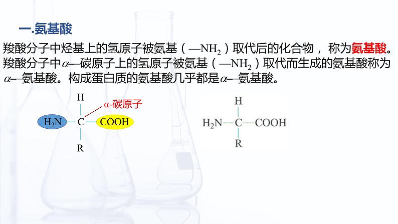 6.2 蛋白质（课件）-【中职专用】高中化学（高教版2021通用类）06