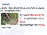 5.3 烃的衍生物（课件）-【中职专用】高中化学（高教版2021通用类）