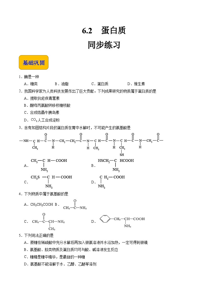 6.2 蛋白质（练习）-【中职专用】高中化学同步精品课堂（高教版2021·通用类）01