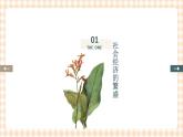 第12课  社会的繁盛与潜伏的危机（课件+练习）-【中职专用】《中国历史》同步精品课堂（高教版·全一册）