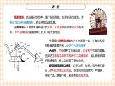 第8课 盛世景象与灿烂文化 课件-- 高教版中职高一历史全一册