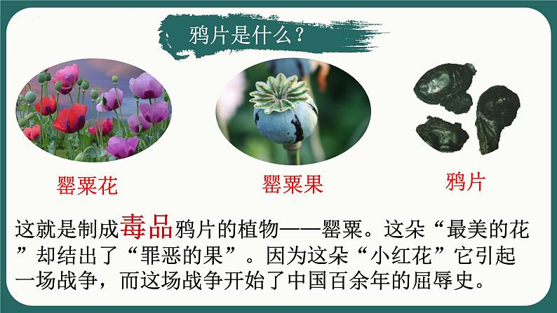 中职历史 基础模块 中国历史 第十五课 列强入侵与中国人民的反抗斗争 （课件+教案）02