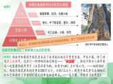 部编高教版2023 中职历史-世界历史 第13课资本主义世界殖民体系的建立与亚非拉民族独立运动 课件+教案