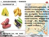 第14课 明清时期的经济、科技与文化 课件-中职高一《中国历史》同步（高教版2023•基础模块）