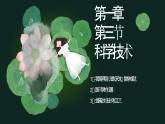 中职历史人教版第一章第三节 科学技术 课件
