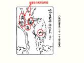 第20课 国民革命与南京国民政府的统治【课件】--中职高一上学期高教版（2023）中国历史全一册