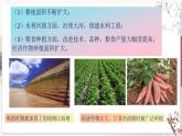 【部编高教版中职历史】中国历史  第14课 明清时期的经济、科技与文化 课件