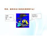 第八课 现象本质与明辨是非 第1课时 课件＋教案＋素材