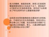 第一课 塑造自己的良好形象 课件