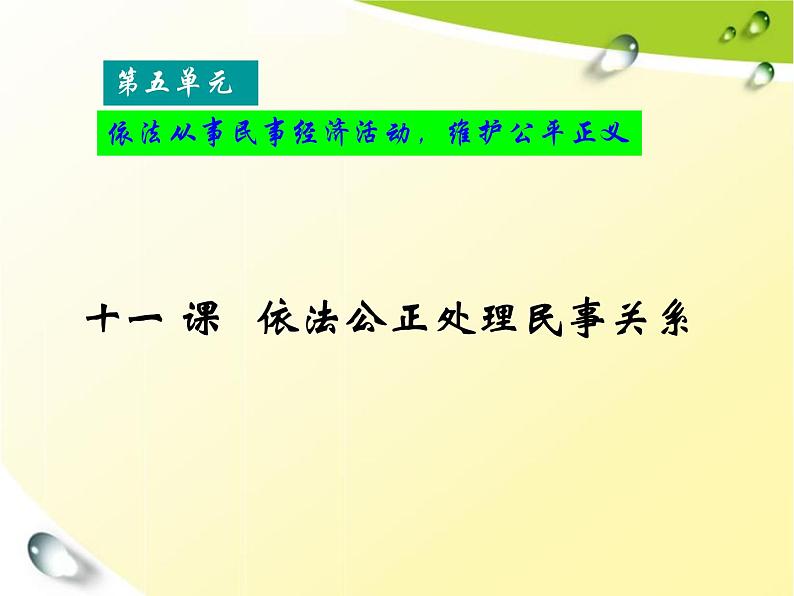 第十一课 依法公正处理民事关系 课件01