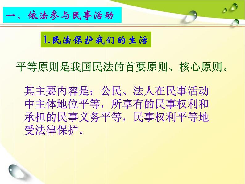 第十一课 依法公正处理民事关系 课件05