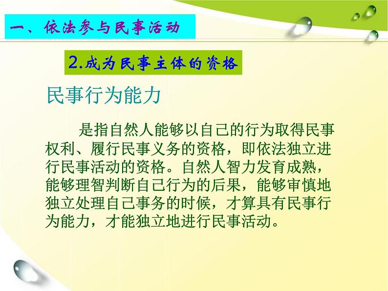 第十一课 依法公正处理民事关系 课件08