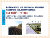 第一课 客观实际与人生选择 课件