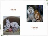 【高教版】政治（哲学与人生） 第四课《普遍联系与人际和谐》第一课时 课件