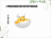 【高教版】政治（哲学与人生） 第六课《矛盾观点与人生动力》第二课时 课件
