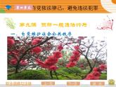 【中职专用】高中思想政治 高教版 《职业道德与法律》  第九课 预防一般违法行为 课件