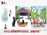 【中职专用】高中政治 高教版 《哲学与人生》 第三课 自觉能动与自强不息 （课件）