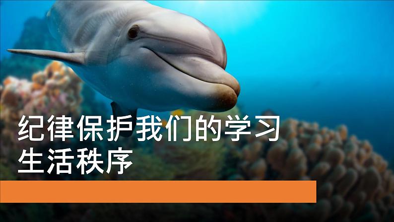 【中职专用】中职思想政治 高教版《职业道德与法律》 第六课  扬法治精神，建设法治家（教学课件）08