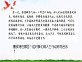 【中职专用】 思想政治 高教版·第五版《哲学与人生》 2.2把握客观规律善于行动课件PPT