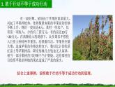 【中职专用】 思想政治 高教版·第五版《哲学与人生》 2.2把握客观规律善于行动课件PPT