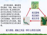 【中职专用】 思想政治 高教版·第五版《哲学与人生》 4.1用联系的观点看问题课件PPT