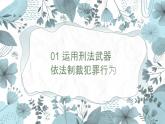 【中职专用】高中思想政治 高教版·第五版 《职业道德与法律》第十课+避免误入犯罪歧途（课件+素材）