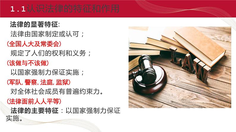 部编高教版2023 中职思想政治 职业道德与法治 第11课 养成遵纪守法好习惯 课件05