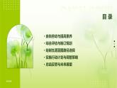 第13課立足專業(yè)+謀劃發(fā)展課件PPT