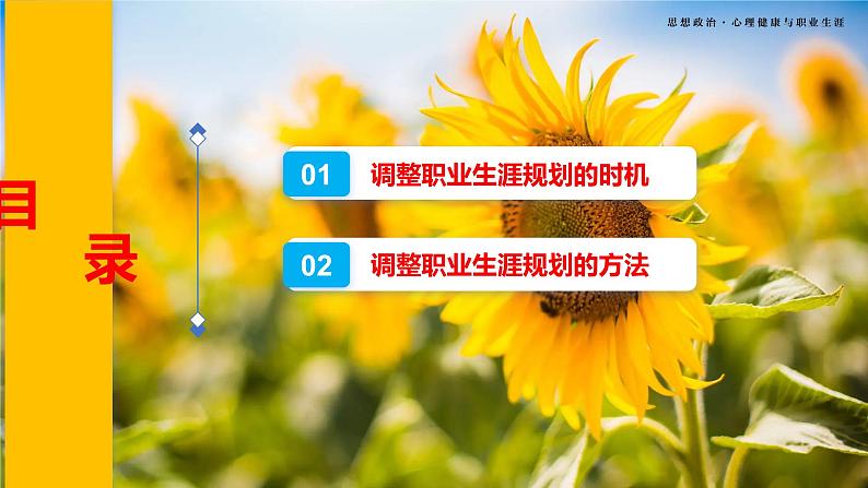 第15课《完善规划 奋发有为》第2框《把握时机,调整规划》-【中职专用】《心理健康与职业生涯》同步课堂精品课件第4页