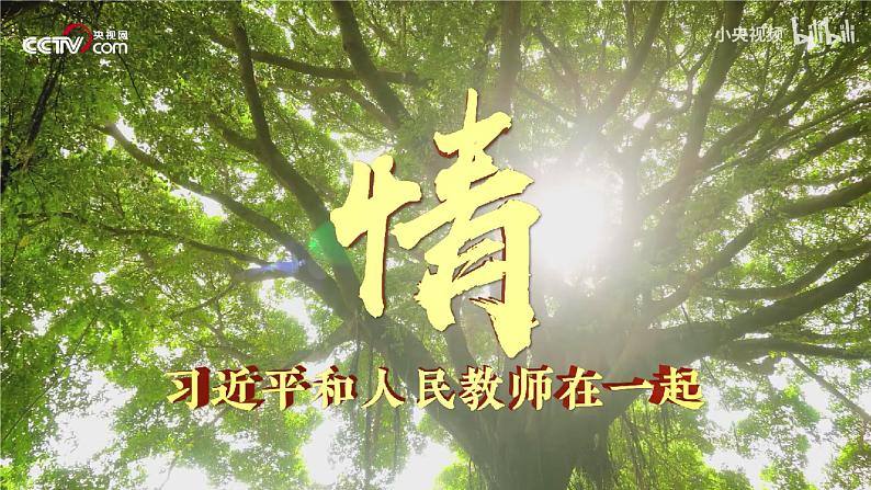 第8课第一框课件《良师相伴，助力成长》-【中职专用】中职思想政治《心理健康与职业生涯》同步配套课件（高教版2023·基础模块）04