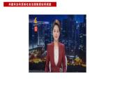 第13课 社会治理与总体国家安全观课件