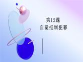 《職業(yè)道德與法治》第12課：自覺(jué)抵制犯罪.pptx2