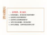 第8课 良师相伴 亦师亦友课件课件