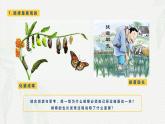 第3课 追求人生理想-【中职专用】2024年中职思想政治《哲学与人生》金牌课件（高教版2023·基础模块）