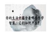 哲学与人生第1课时代精神的精华第一框哲学的智慧课件