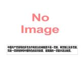 部编高教版2023中国特色社会主义第8课用制度证人民当家作主第二框我国的基本政治制度课件