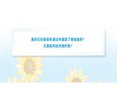 【中職專用】思想政治《心理健康與職業(yè)生涯》（高教版2023）4.2 應(yīng)對(duì)挫折，提升抗逆力（教學(xué)課件）