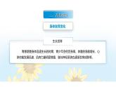 【中职专用】思想政治《心理健康与职业生涯》（高教版2023）6.1 青春正当时（教学课件）