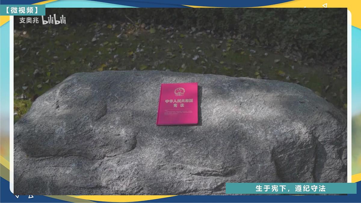 第10课 养成遵纪守法好习惯第4页