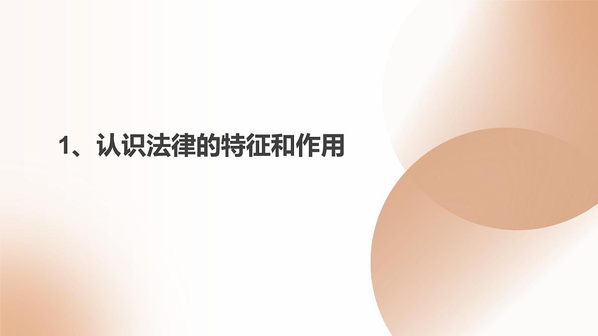 第10课 养成遵纪守法好习惯课件第5页