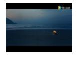 高教版(2023)中國特色社會主義第7課黨是最高政治領(lǐng)導(dǎo)力量課件