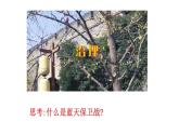 高教版(2023)中國特色社會主義第15課  建設(shè)美麗中國課件