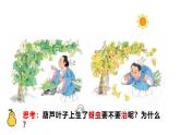 部編高教版2023政治哲學(xué)與人生第4課 用聯(lián)系的觀點(diǎn)看問題課件