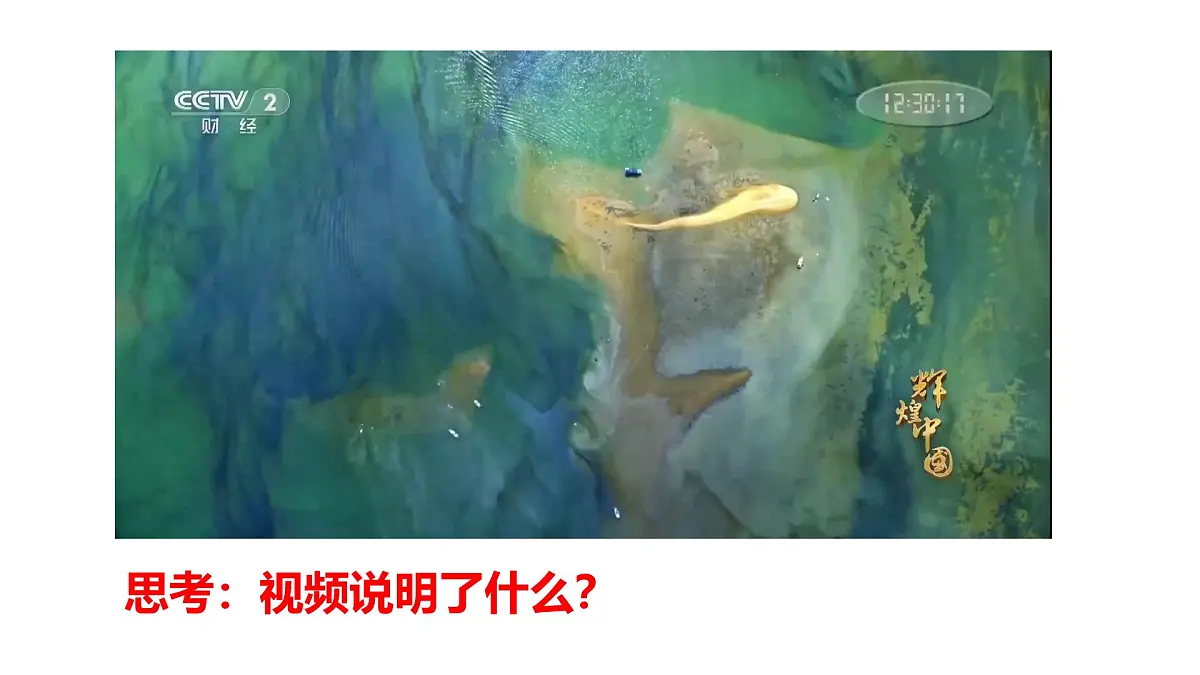 部编高教版2023《中国特色社会主义》第6课推动形成全面对外开放新局面课件第8页