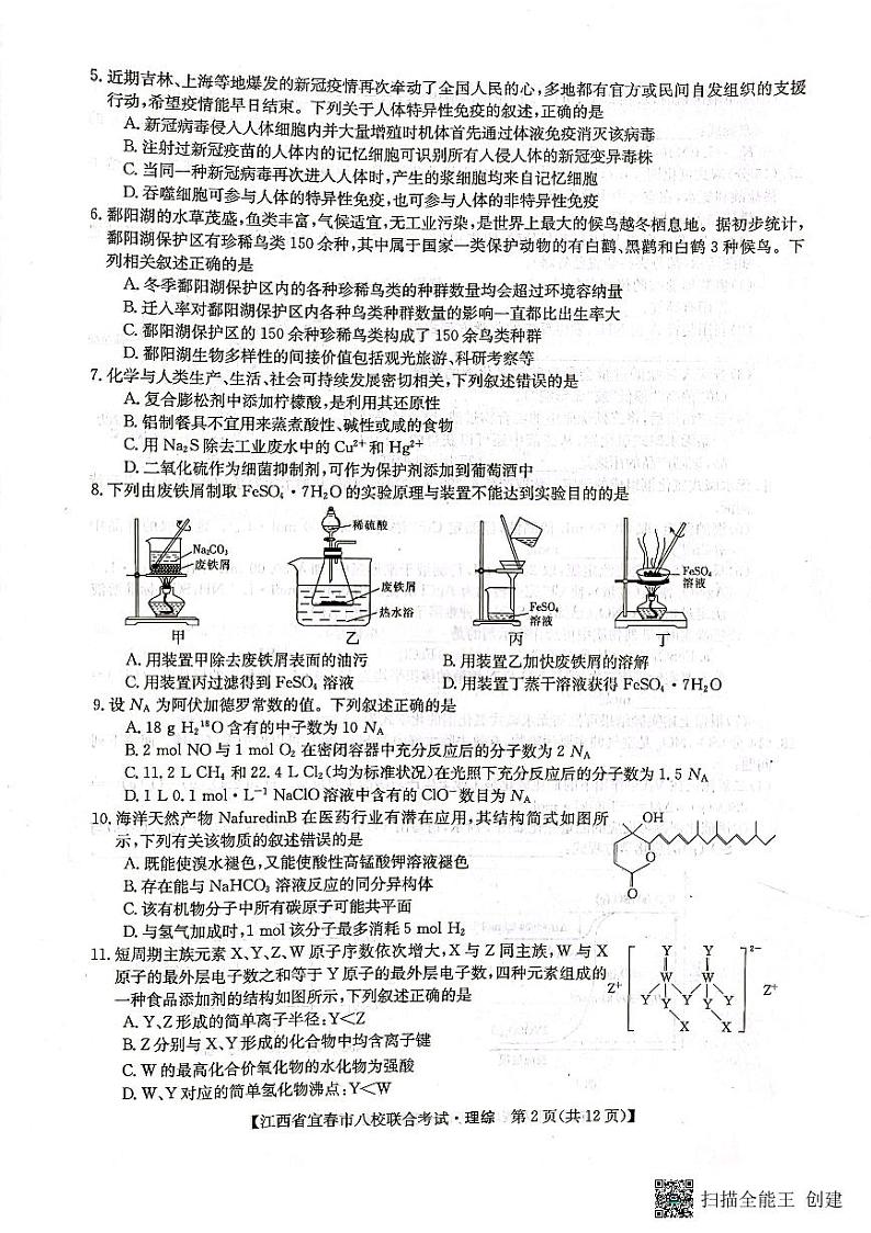 2022年江西省宜春市八校联合考试理科综合试题第2页