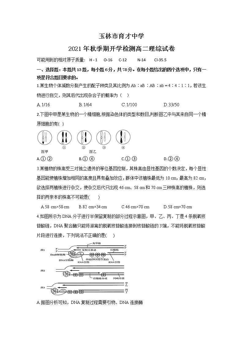 2022省玉林育才中学高二上学期开学检测考试理综试题答案不全01
