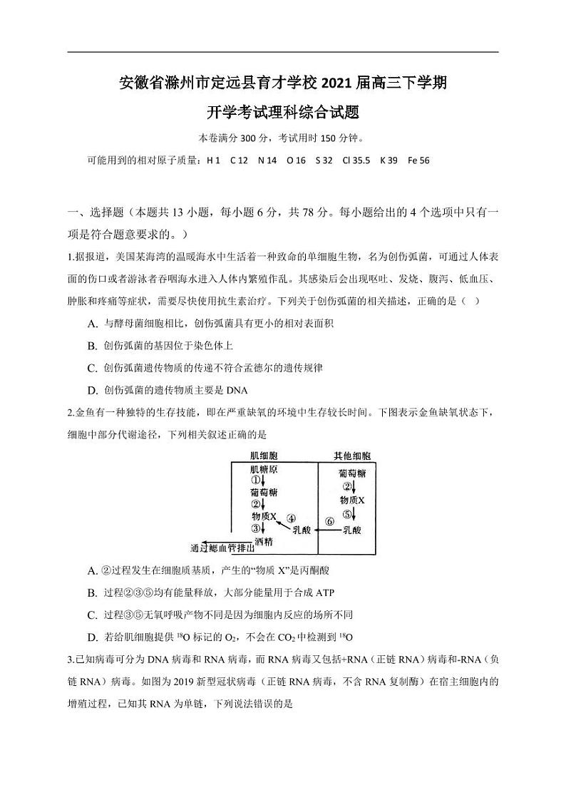 2021滁州定远县育才学校高三下学期开学考试理科综合试题PDF版含答案第1页