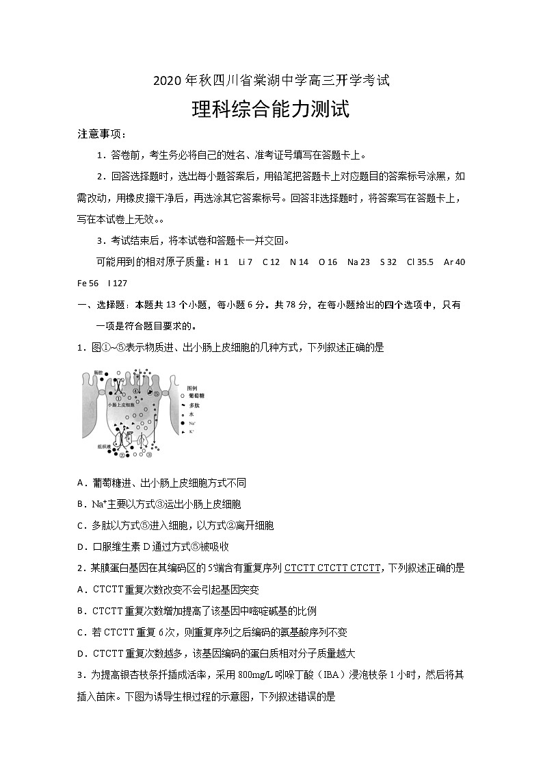 2021四川省棠湖中学高三上学期开学考试理科综合试题含答案第1页