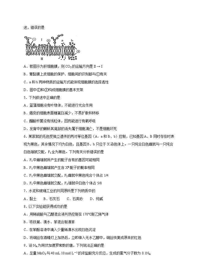 2021泸县二中高三上学期开学考试理科综合试题含答案第2页